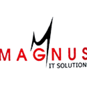 magnus-it-solutions